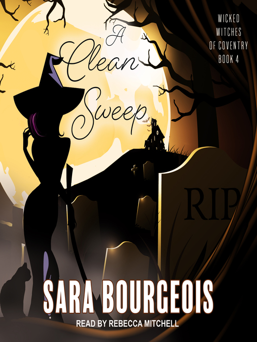 Title details for A Clean Sweep by Sara Bourgeois - Available